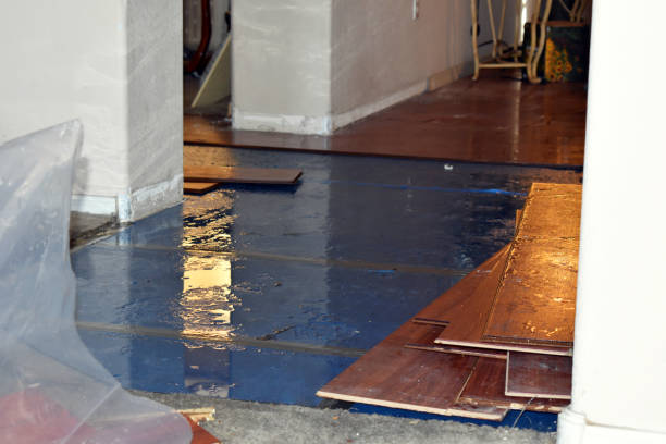 Professional Emergency Water Damage Restoration technician working in North Robinson, OH
